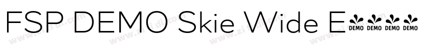 FSP DEMO Skie Wide E字体转换